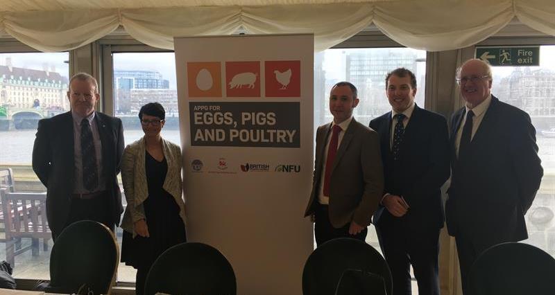 APPG eggs & poultry_61958