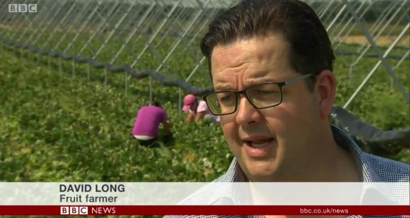 media update bbc news 25.08.16 david long eu labour interview_37026