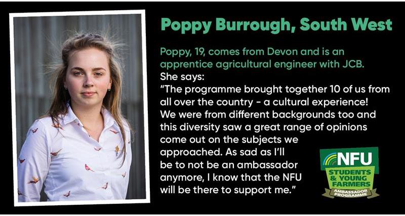 Poppy Burrough_73241