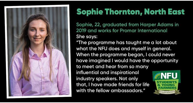 Sophie Thornton_73243