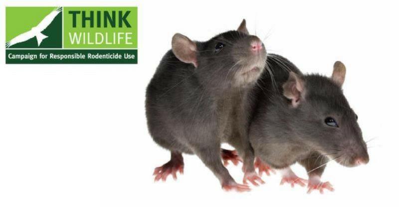 rodenticide use_50120