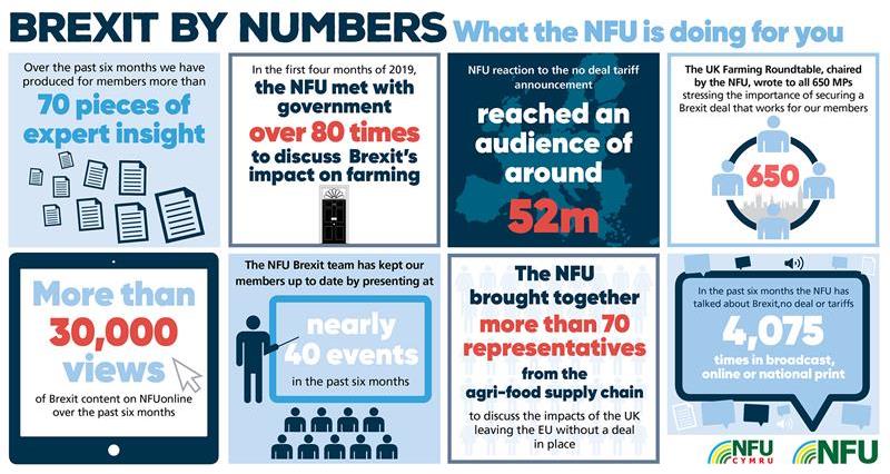 Brexit by Numbers_65322