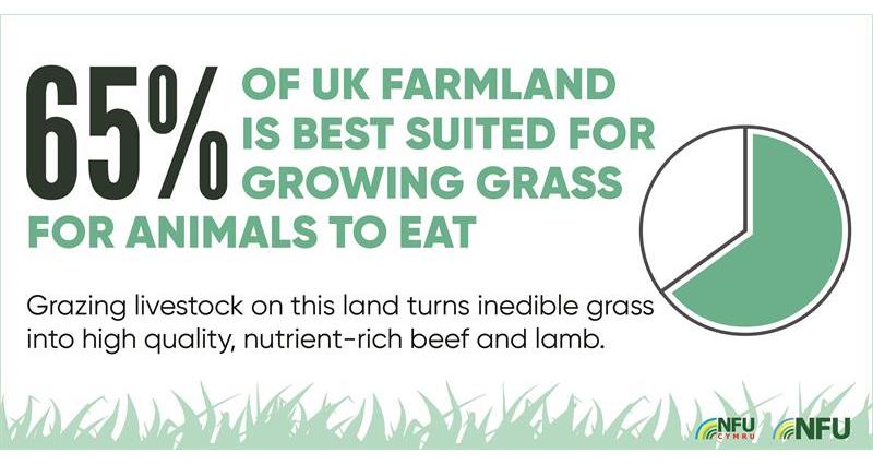 65% UK farmland best suited to grazing infographic _70605