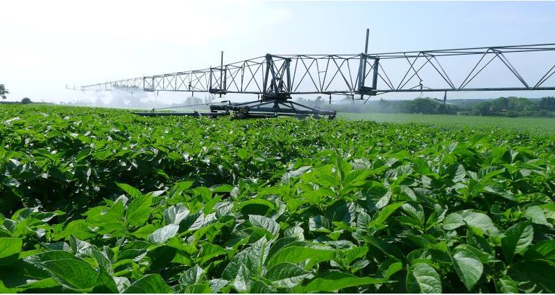 irrigator boom web crop_48873