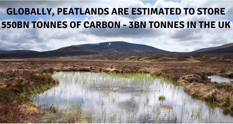 Peatlands carbon store Canva_67351
