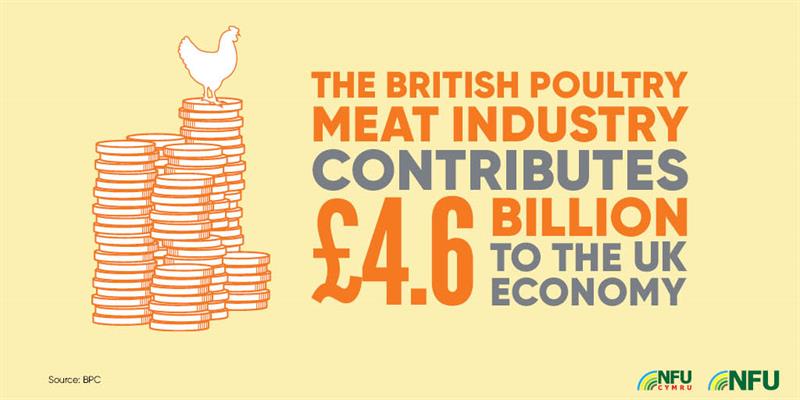 British poultry industry 4.6 bn to economy_72229