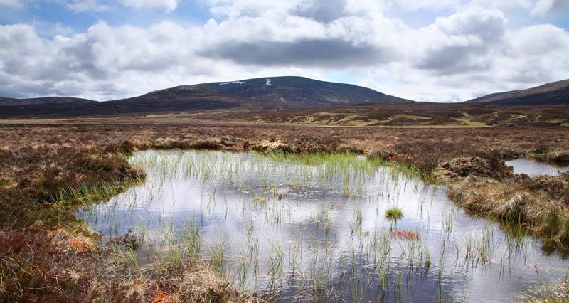 Peat bog in Scotland