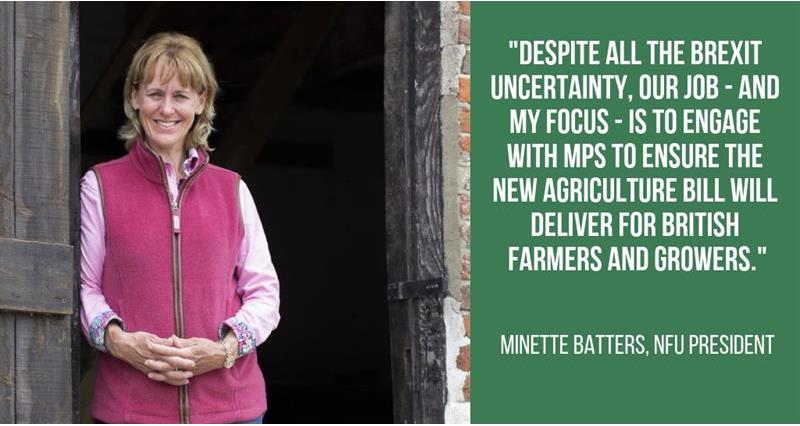 minette batters new year message 2019_59509