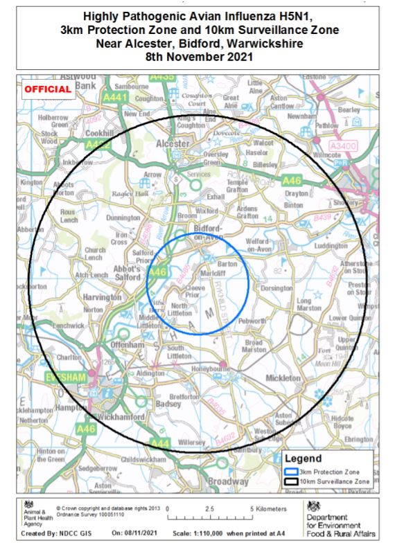 HPAI H5N1 Bidford, Alcester, Warwickshire 8 November 2021