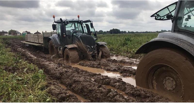 Tractors in mud in potato field in Lincolnshire_70466