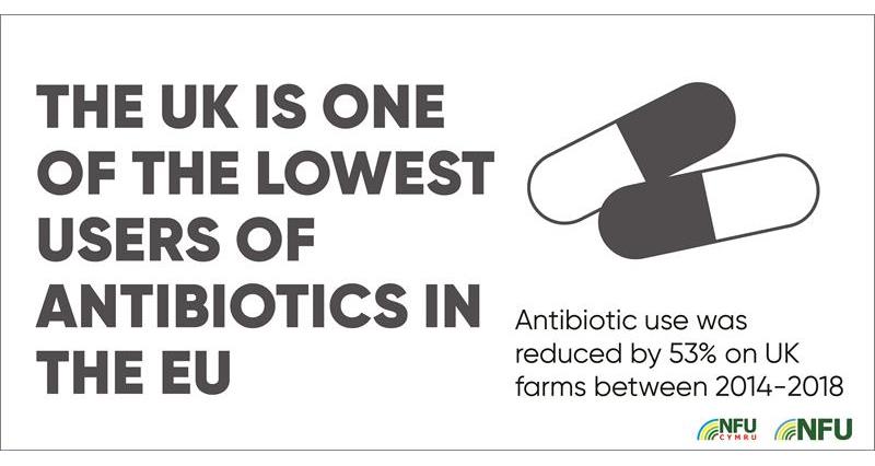 Antibiotic use infographic_70609