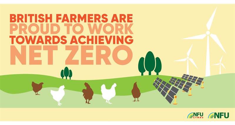 British farmers working towards net zero poultry infographic_72559