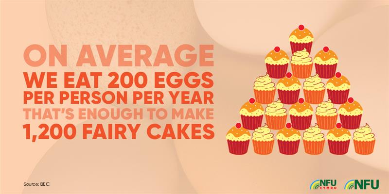 200 eggs, 1,200 fairy cakes infographic_72221