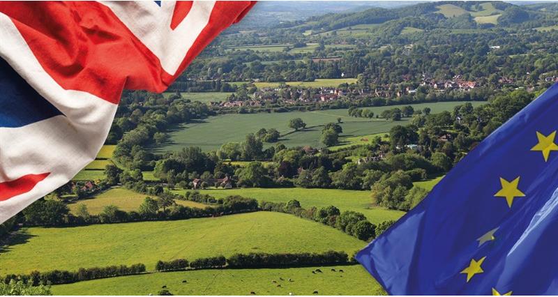 UK-EU SPS negotiations enter critical phase – the NFU sets out key priorities