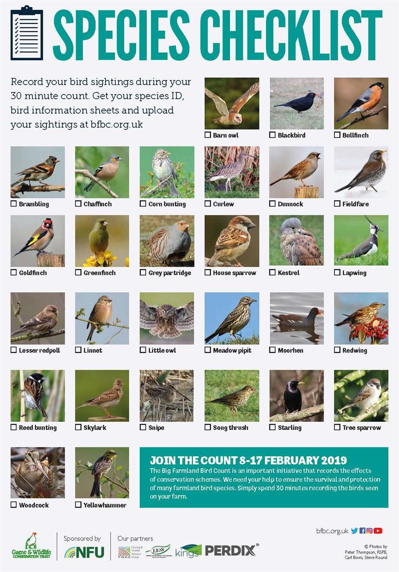 Big Farmland Bird Count Species Checklist 2019_60426