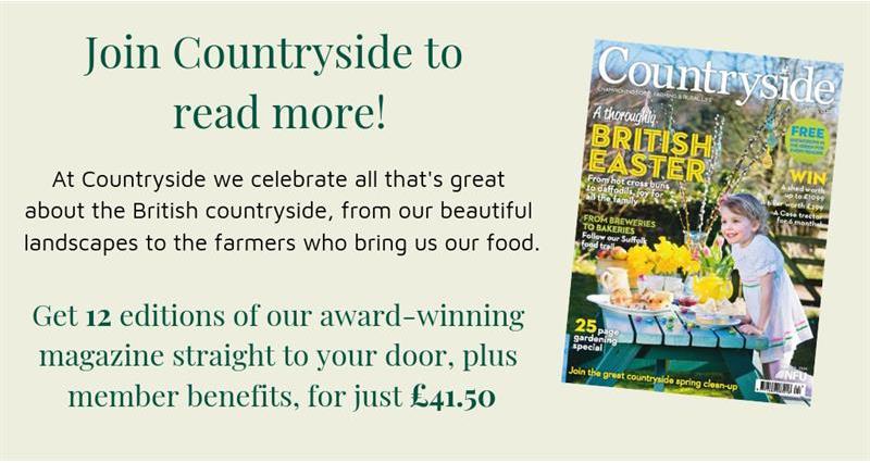 Countryside magazine advert_62203