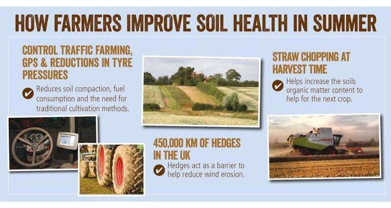soil health summer_52073