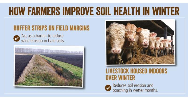 soil health winter_52074
