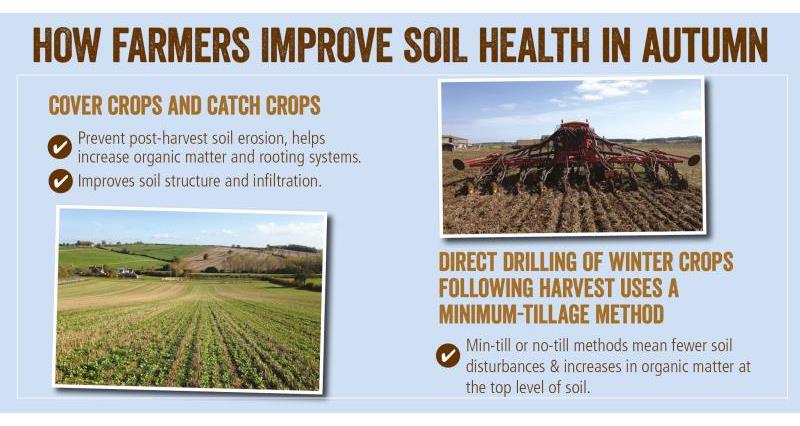 soil health autumn_52066