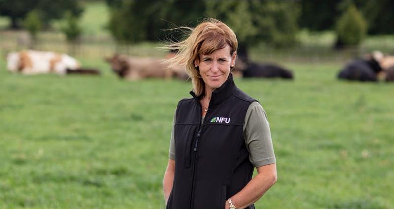 Minette Batters standing in field with cows behind her.