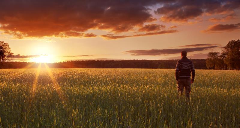 An image of a farmer in a field watching the sun set