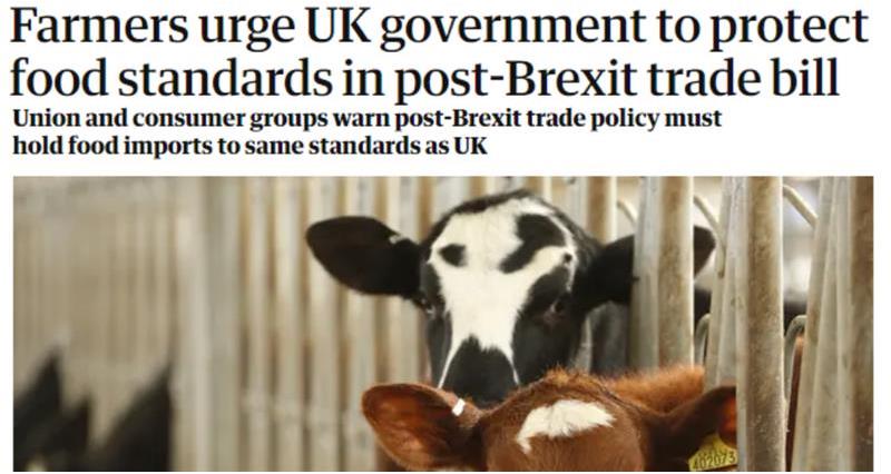 The Guardian headline food standards_73620