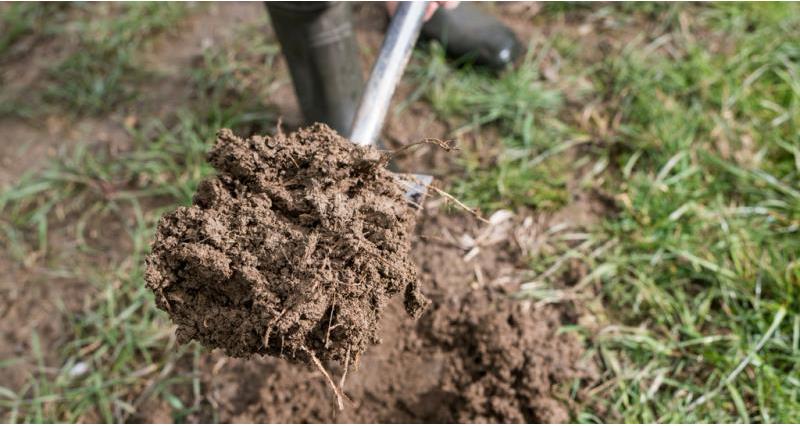 Enhance your productivity and protect the environment by taking care of your soils