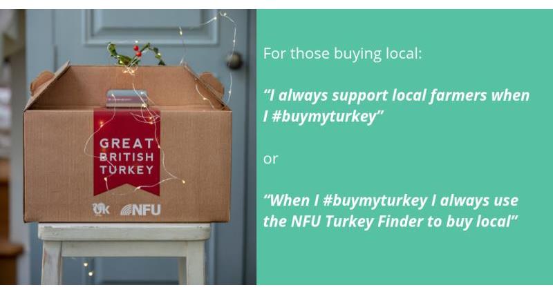 #BuyMyTurkey Turkey Finder social media ideas_58685
