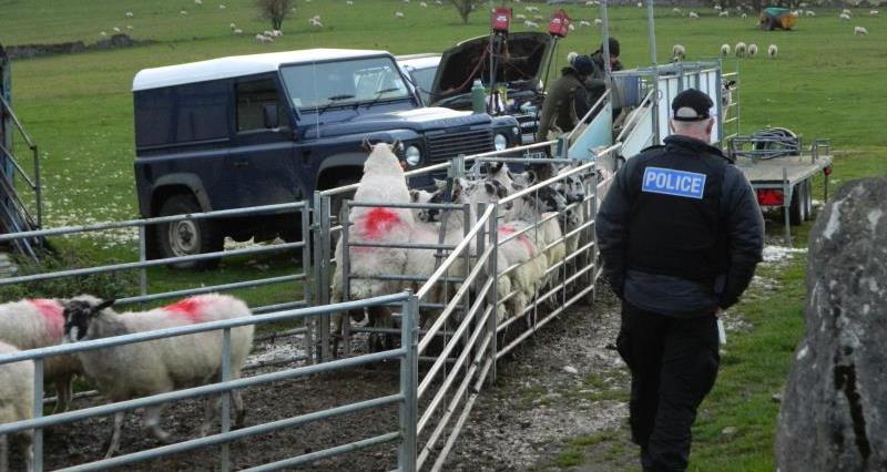 Police meet sheep farmers in Derbyshire_58370