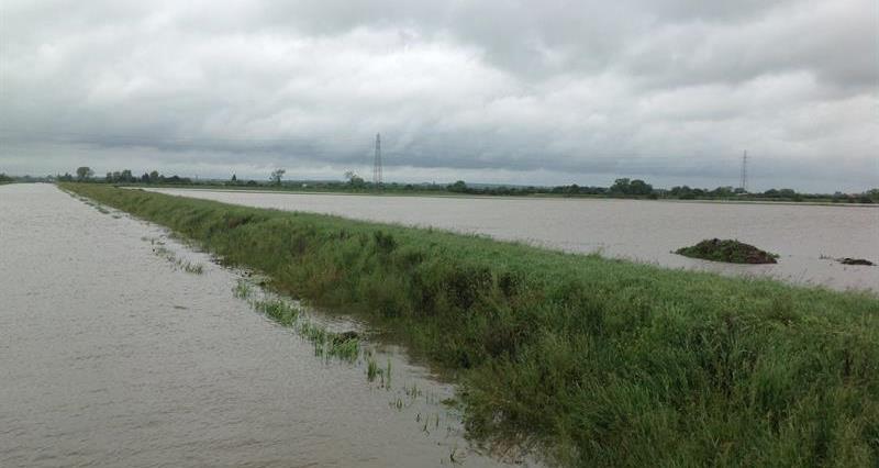 Farmland flooded near Wainfleet, Lincolnshire_66345