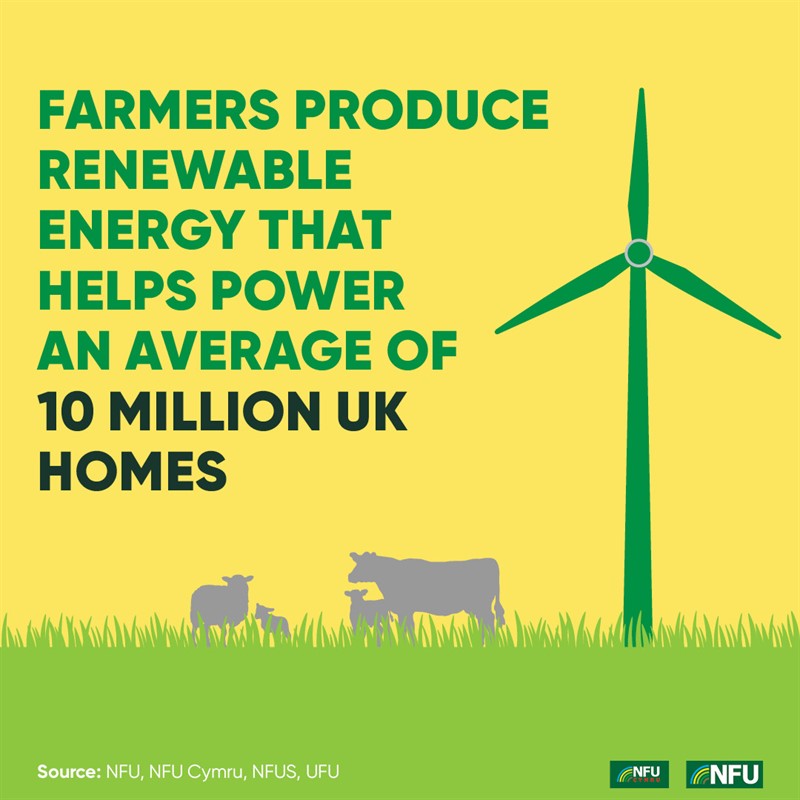 NFU Instagram infographic renewable energy