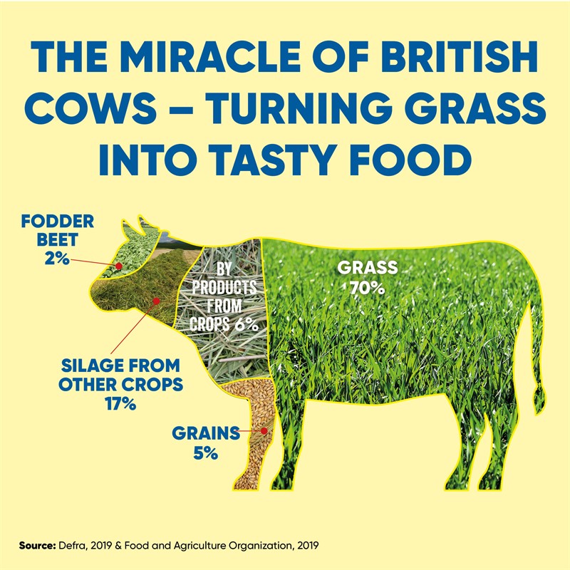 NFU Instagram infographic cattle feed