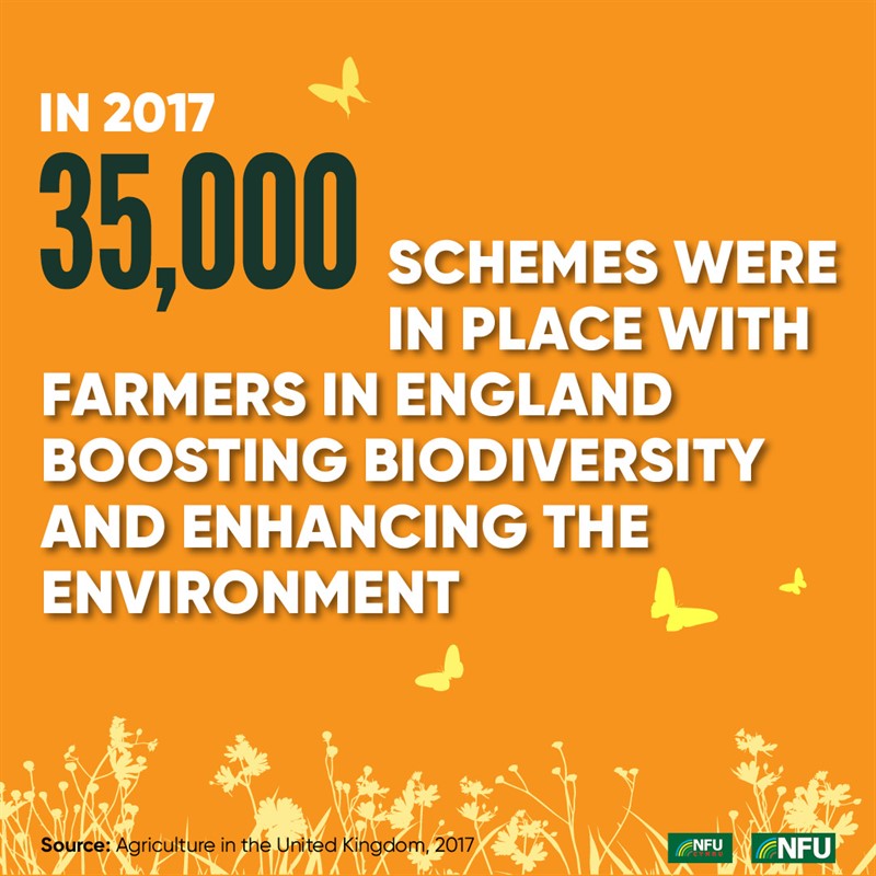 NFU Instagram infographic biodiversity schemes