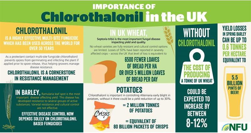 chlorothalonil infographic web _60861
