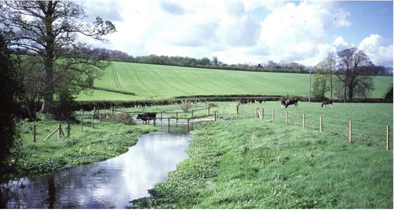 Fenced watercourse