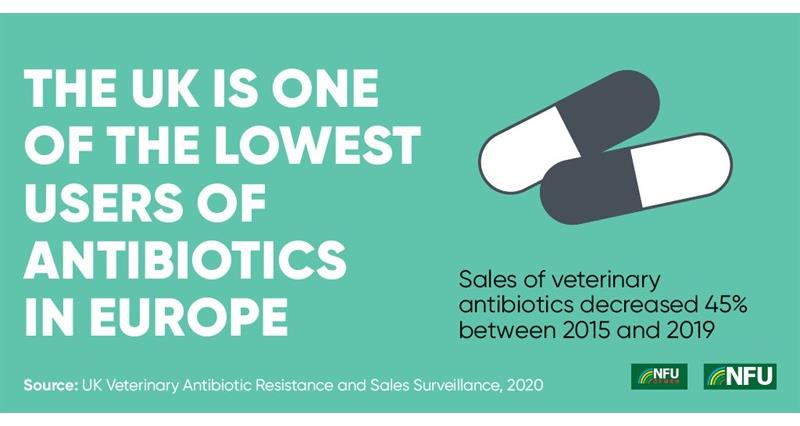 Antibiotic use infographic_70609