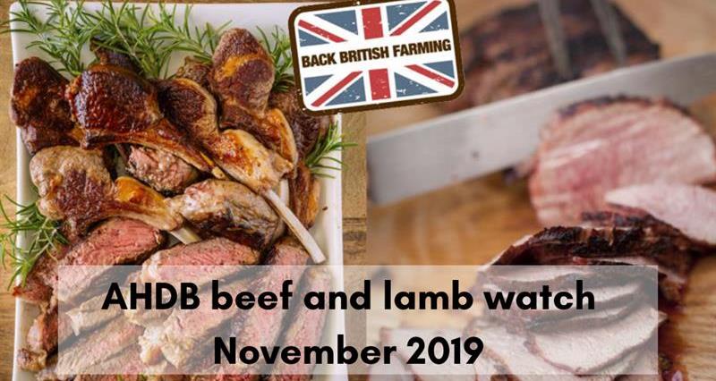 Beef and lamb watch _71199