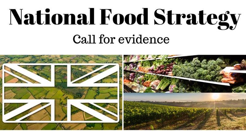 National Food Strategy_68304