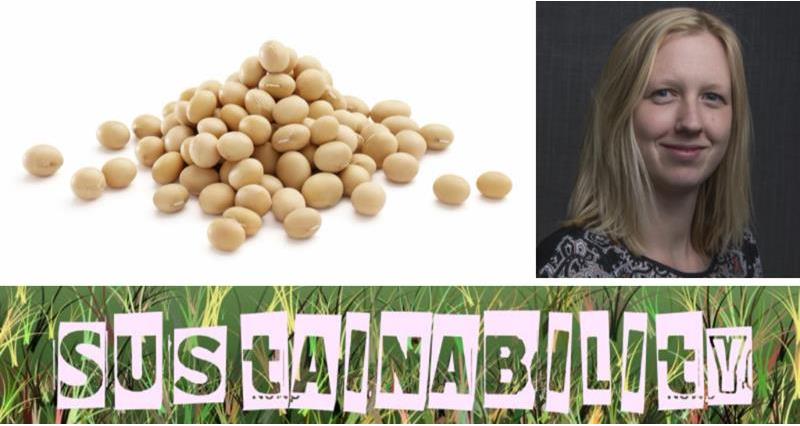 Soya Sustainability_67806