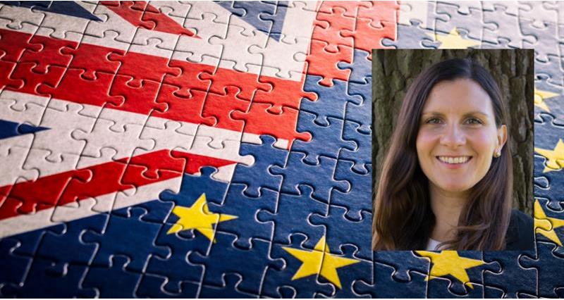 Lucia Zitti EU-UK negotiations article_73927