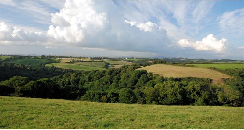Farming landscape in summer