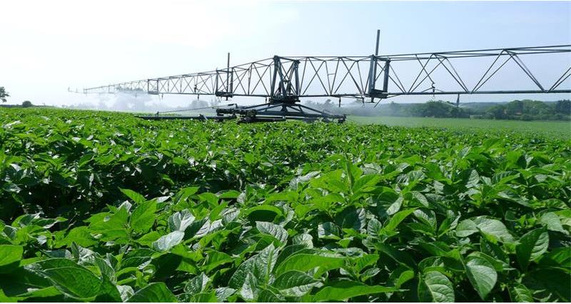 Irrigation Boom in a field of crops