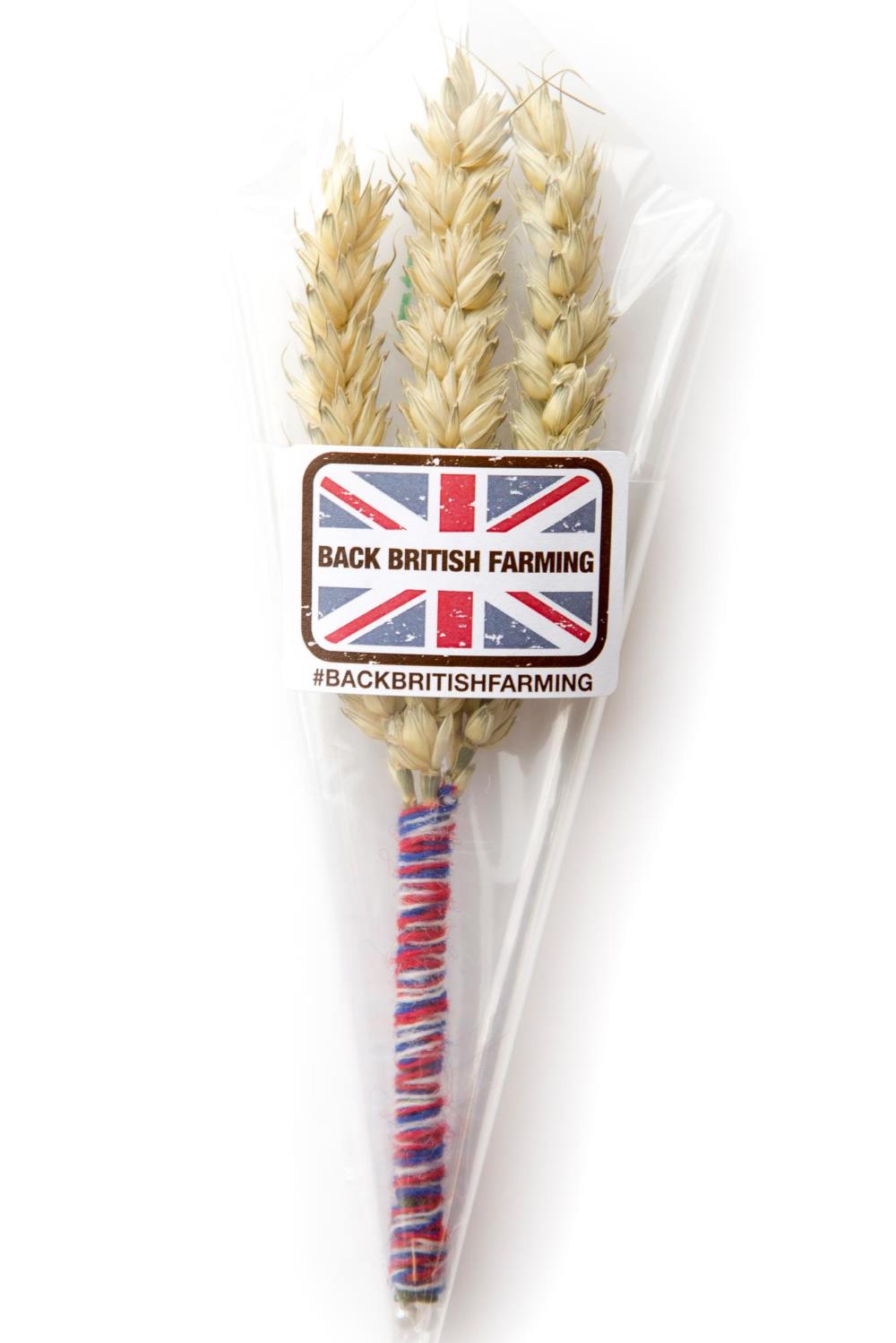 wheat-pin badge