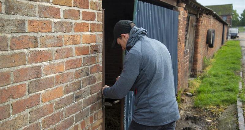 An image of a man breaking into a shed