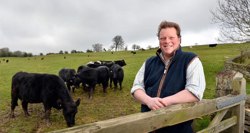 David Barton in a field of cows