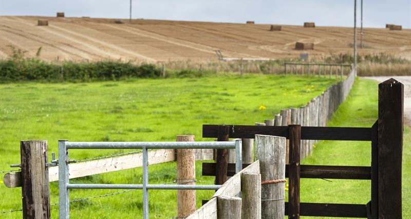 Huge success on Creosote followed by new threat