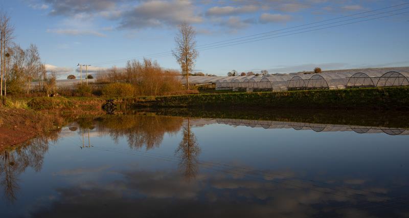 A lake with polytunnels in the background
