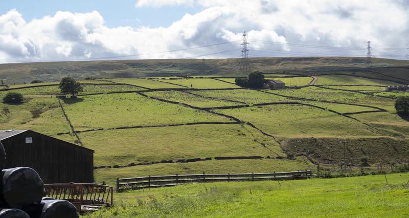 General view of farmland