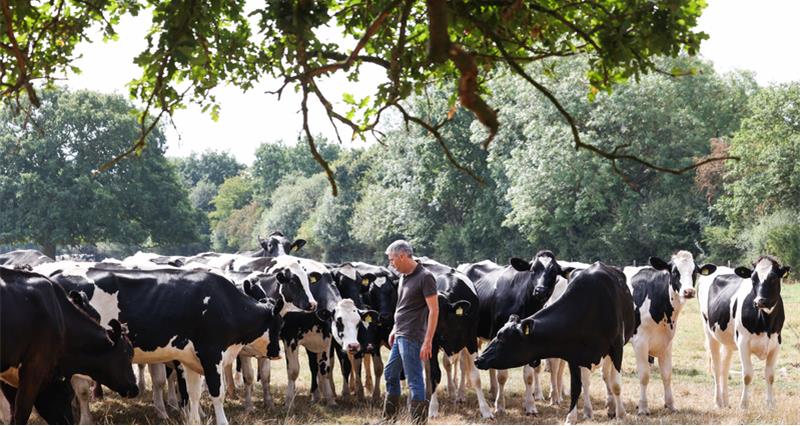 NFU Deputy President Paul Tompkins pictured with his herd of dairy cows