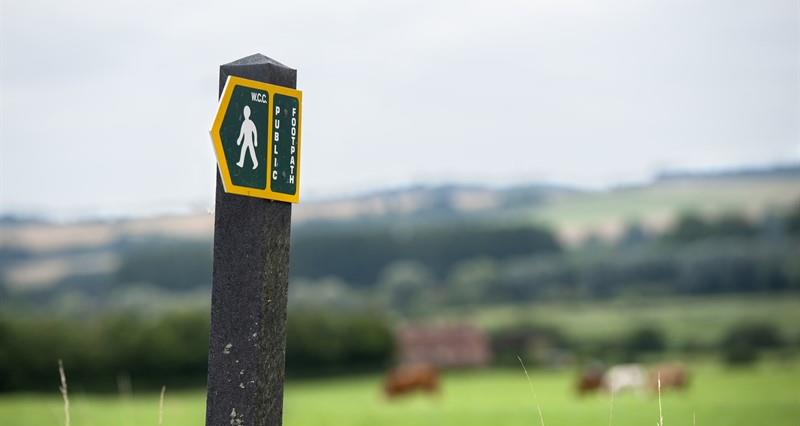A public footpath sign with livestock in background